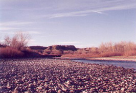Valco Ponds Area along the Arkansas River -- 1998 winter.